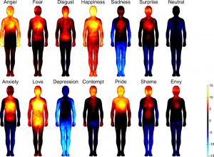 reazioni fisiologiche emozioni