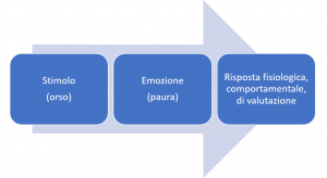 grafico stimolo emozione risposta - cos'è una emozione